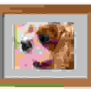 Midi Frame